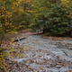 Illustration for article titled Fall Photos 2